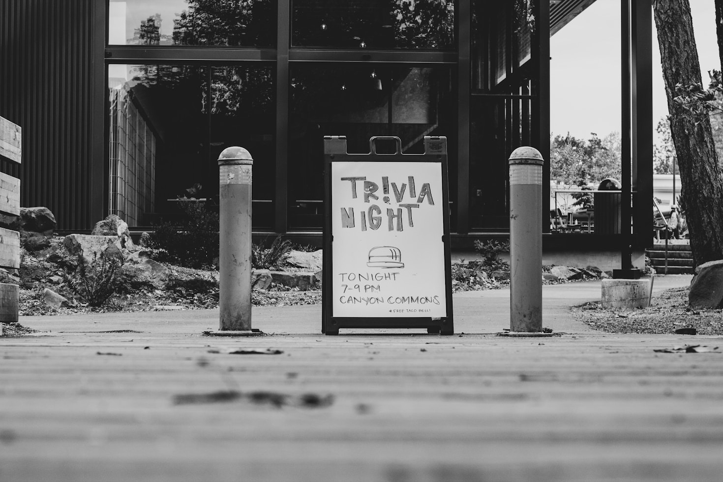 Making Learning Fun: The Power of Trivia Apps